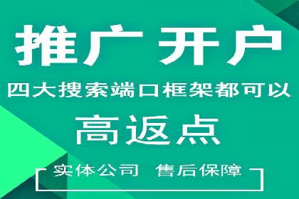 某电商平台的SEM服务全解析